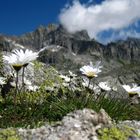 Am Nepali Trail im Kanton Uri