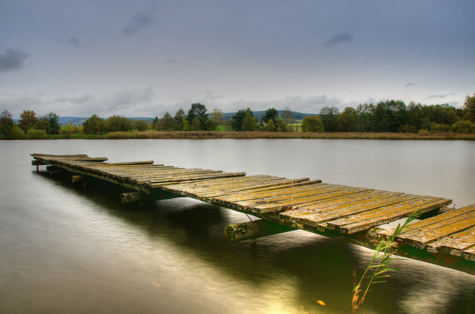 Am neuen Kuhweiher