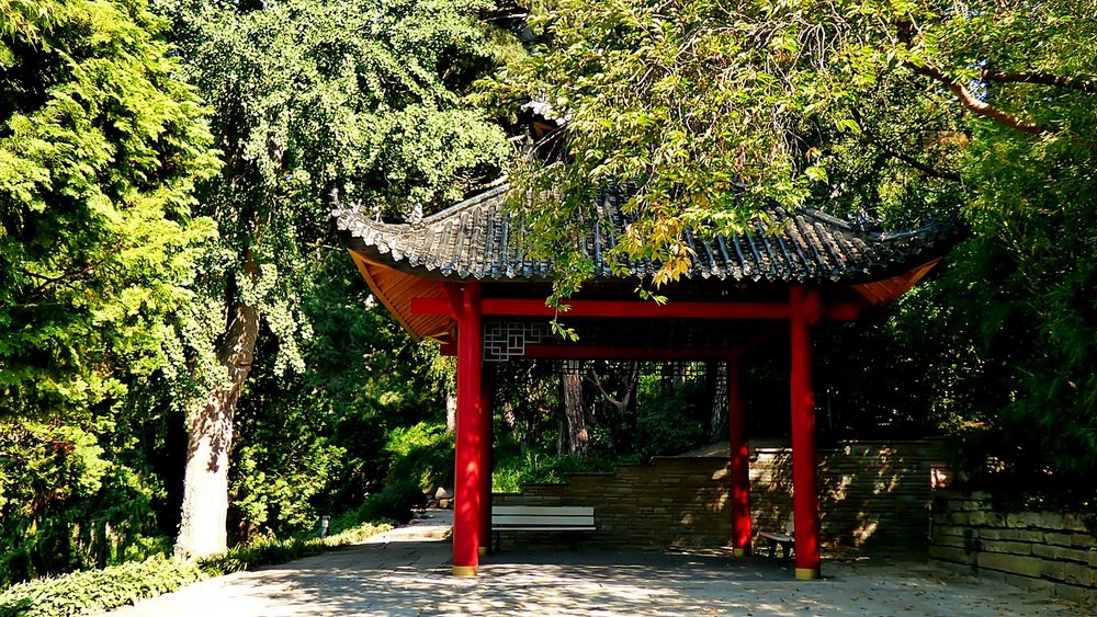 Am neuen Teehaus . . . Foto & Bild | landschaft, garten