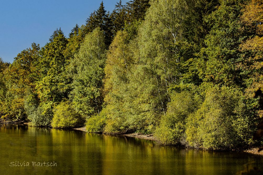Am Neuen Teich Foto & Bild landschaft, jahreszeiten, herbst Bilder