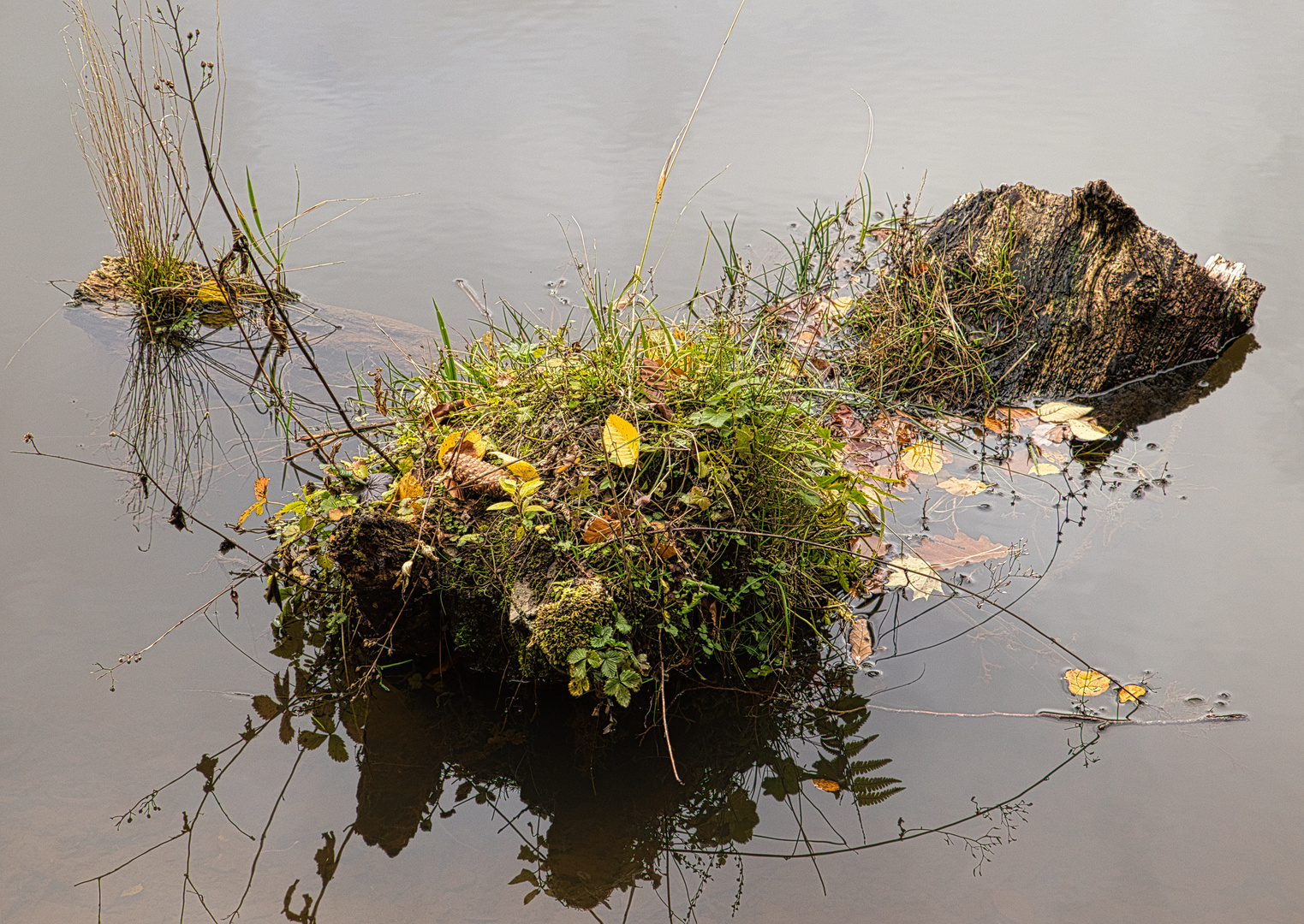 Am Neuen Teich Zorge