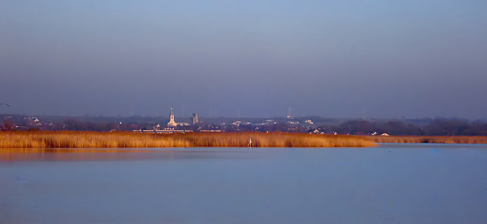 Am  Neusiedler See