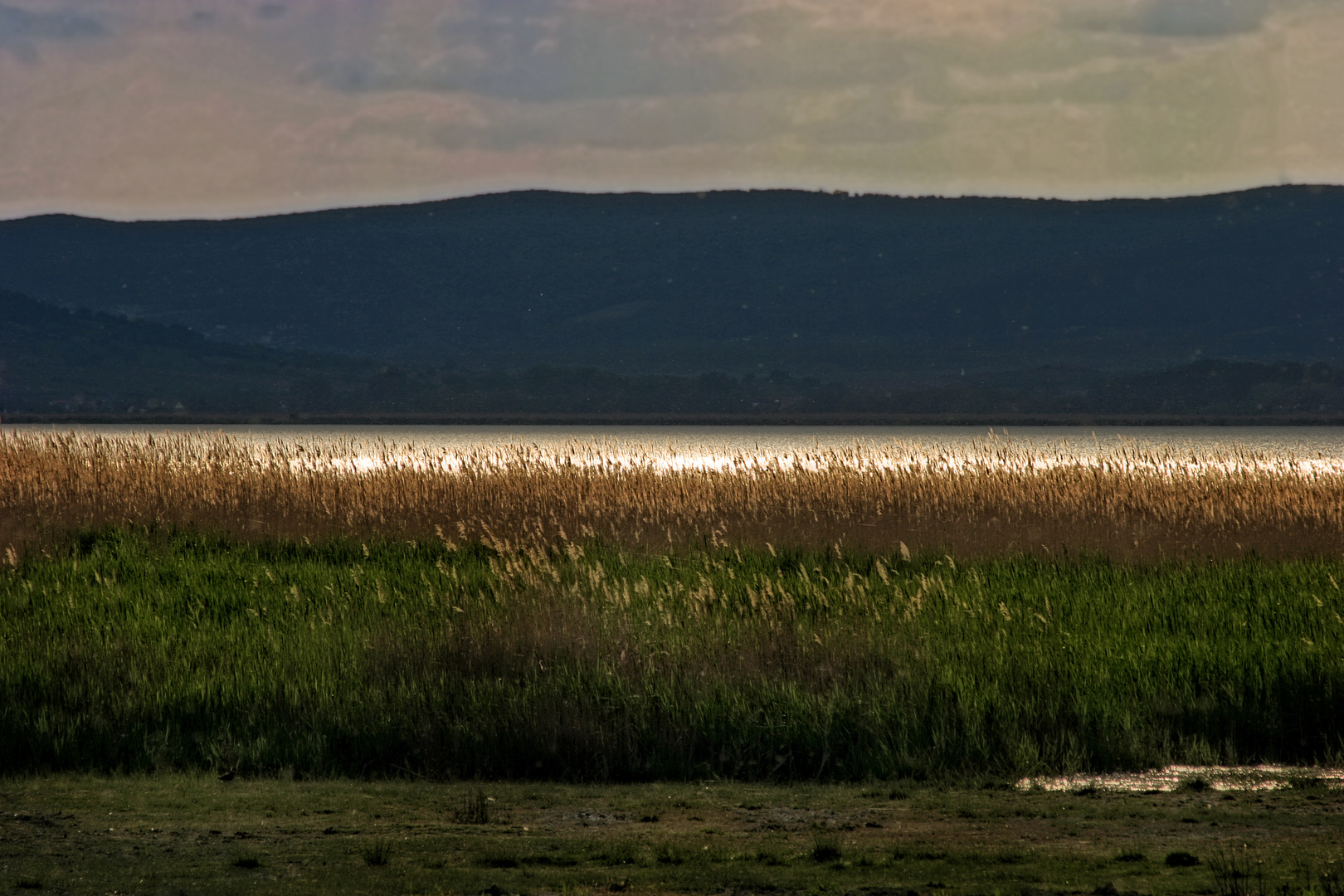 Am Neusiedler See in Österreich