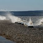 am Neusiedlersee