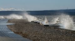 am Neusiedlersee