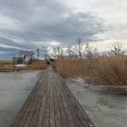 Am Neusiedlersee 