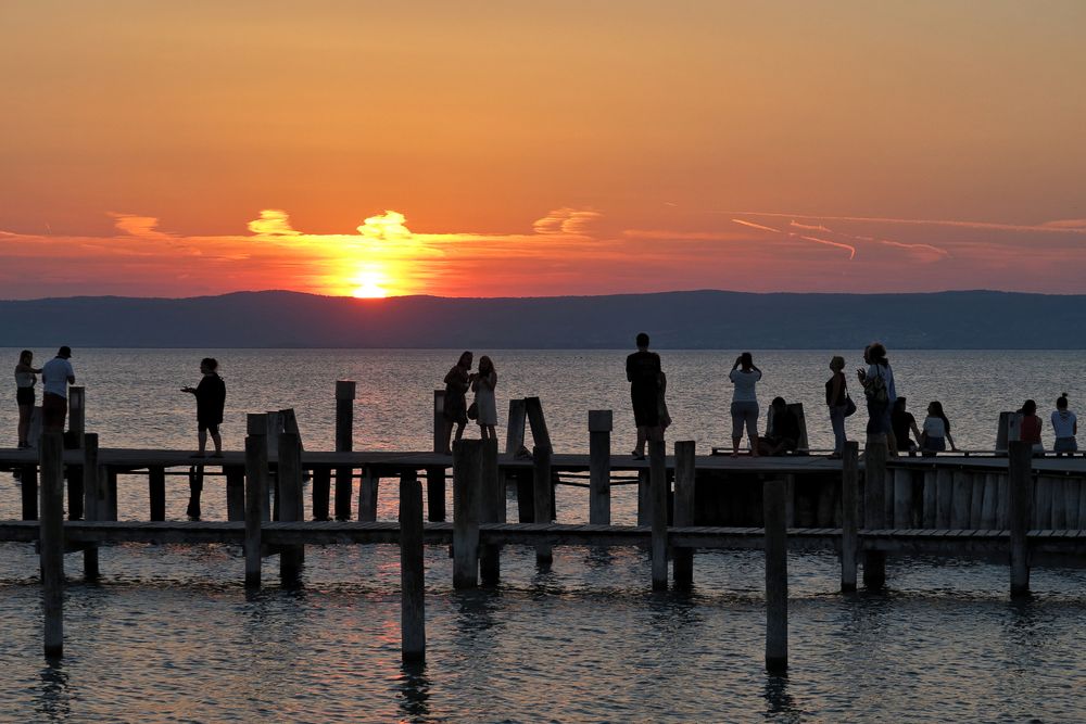 Am Neusiedlersee