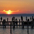 Am Neusiedlersee