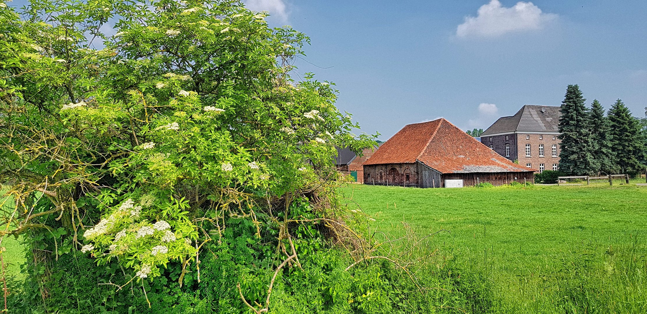 Am Niederrhein