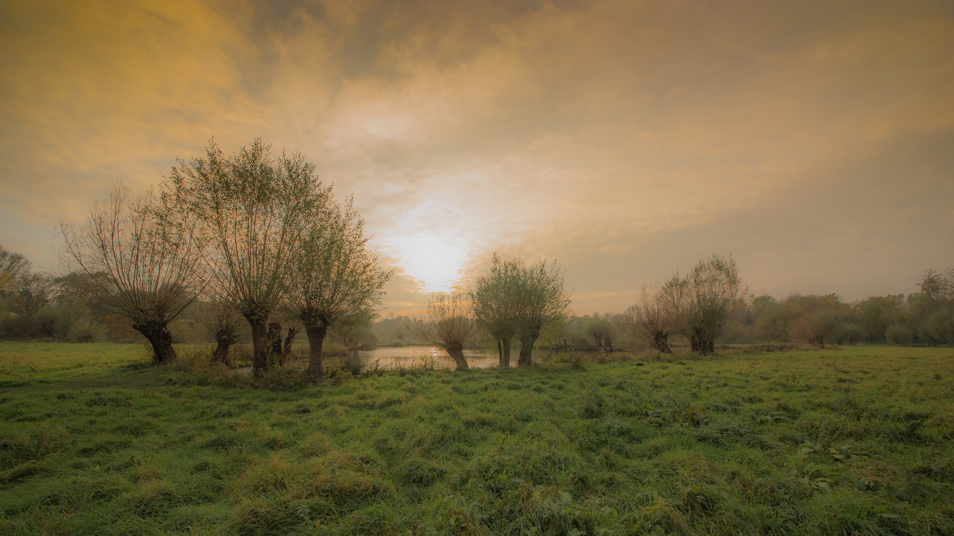 Am Niederrhein