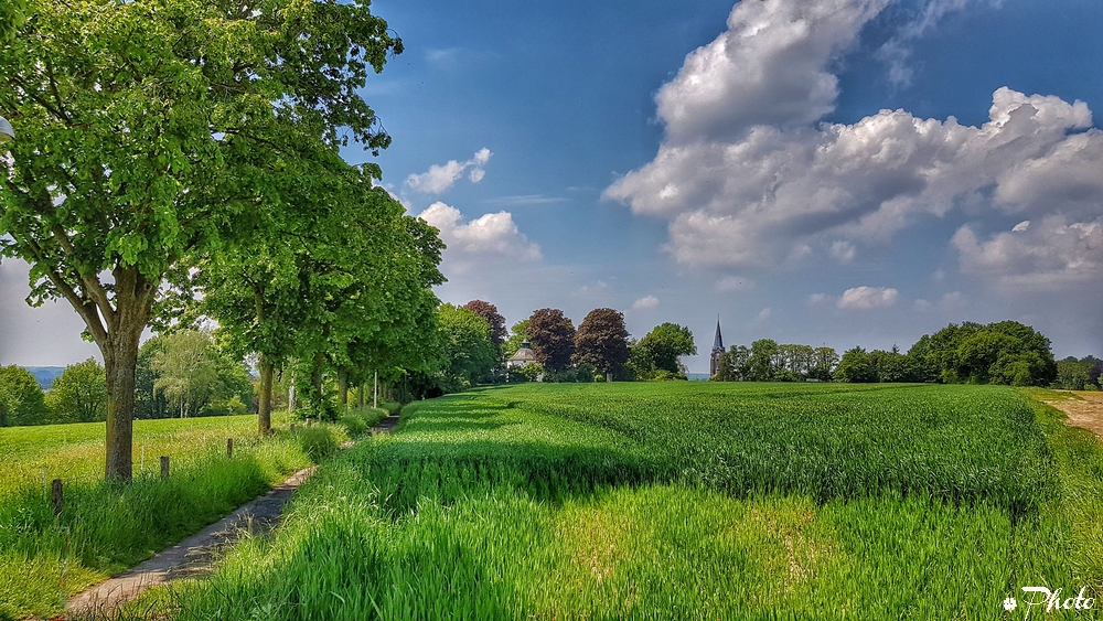 am Niederrhein