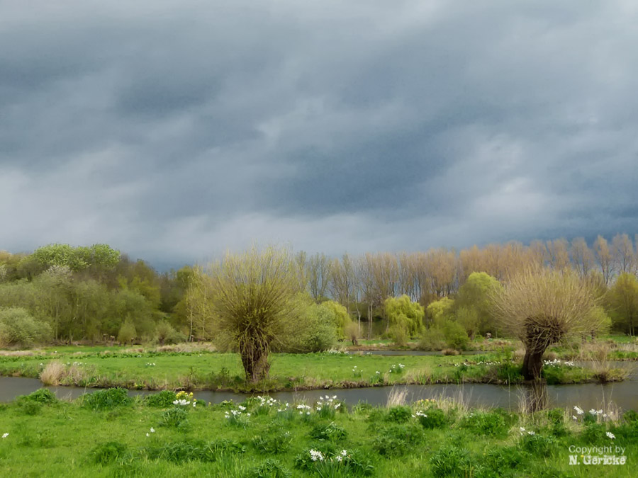 am Niederrhein