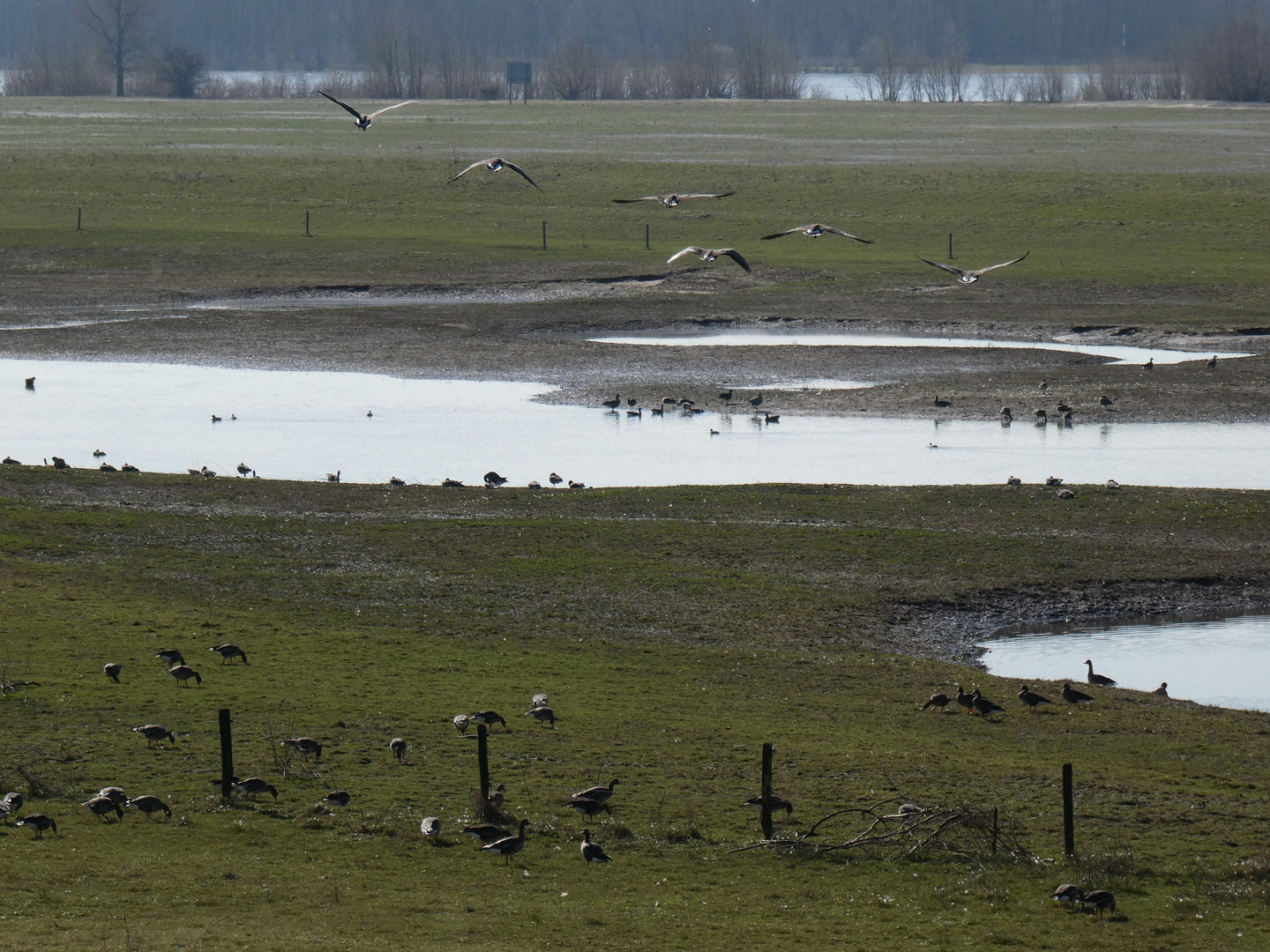 Am Niederrhein 