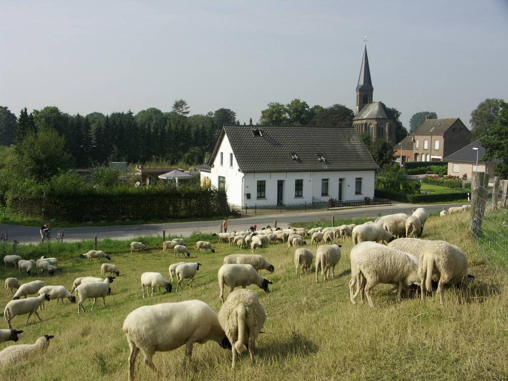 Am Niederrhein