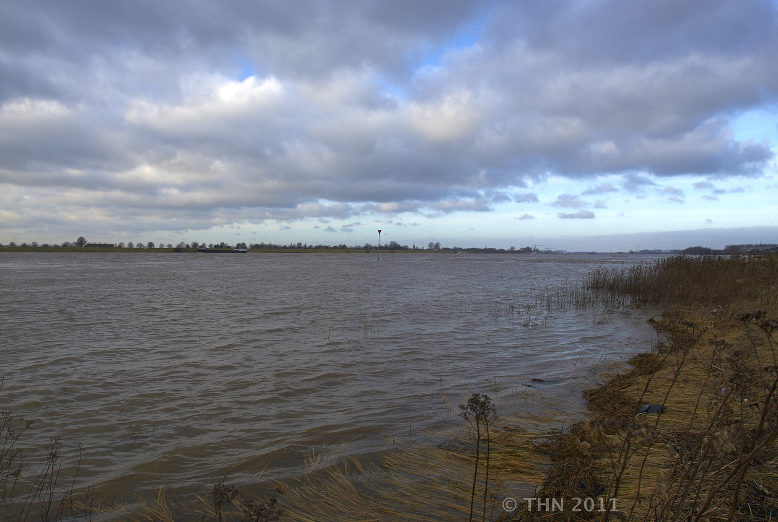 Am Niederrhein bei Hochwasser