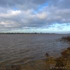 Am Niederrhein bei Hochwasser