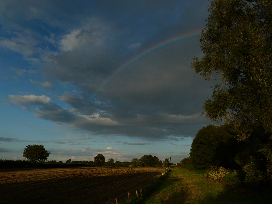 Am Niederrhein