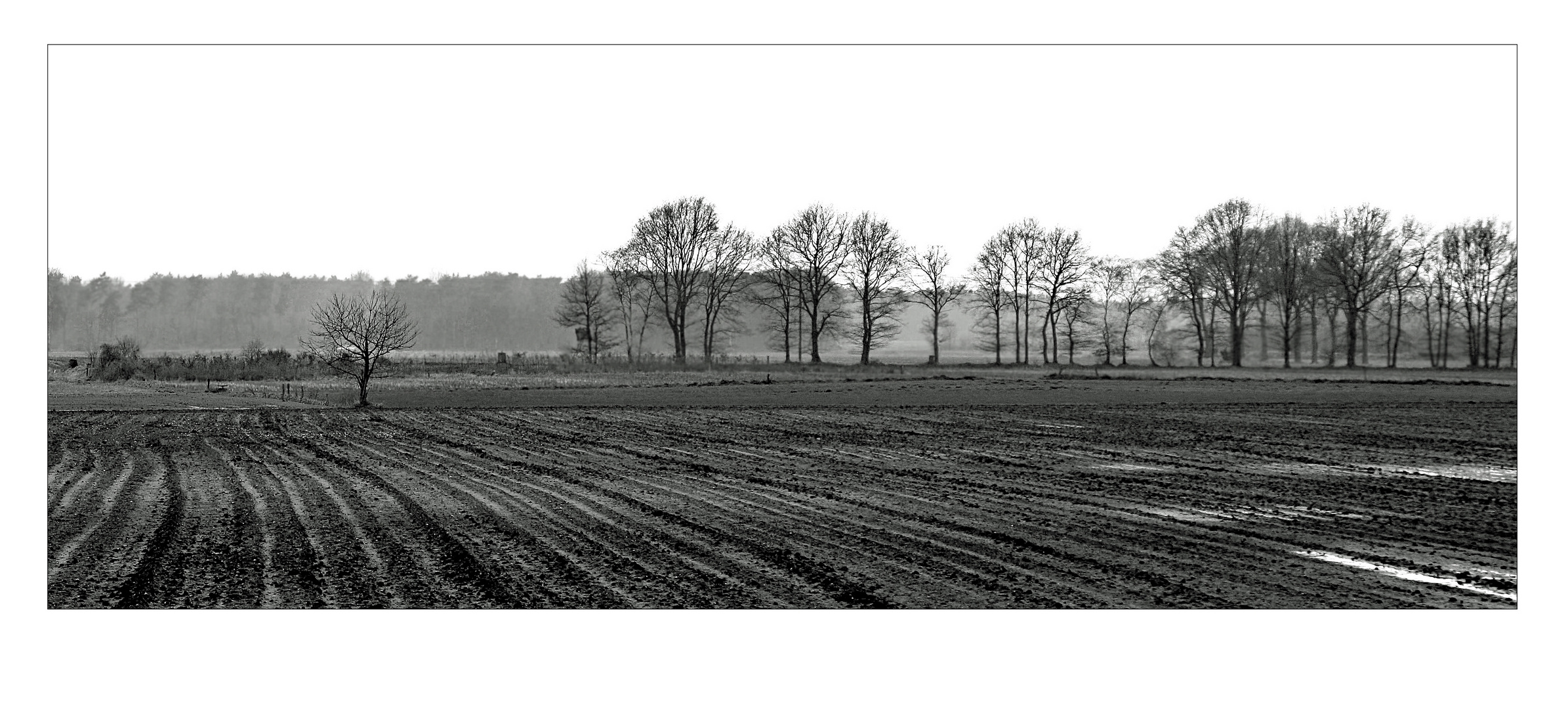 Am Niederrhein