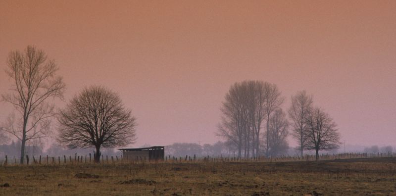 Am Niederrhein