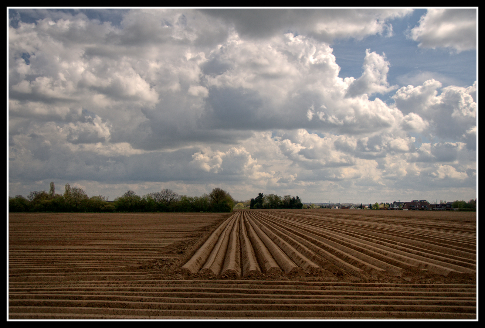 Am Niederrhein: Spargel-Zeit