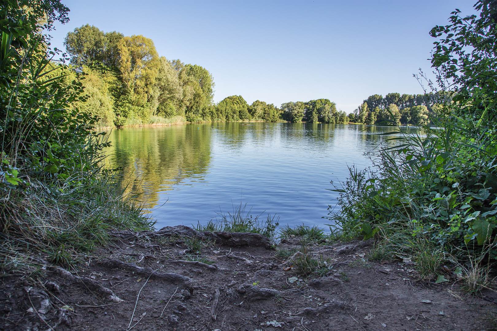 am Niederwaldsee