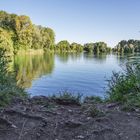 am Niederwaldsee