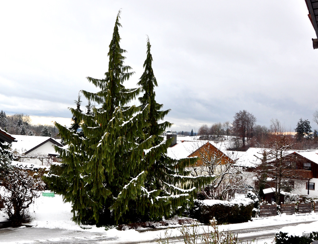 Am Nikolaustag fiel der erste Schnee!