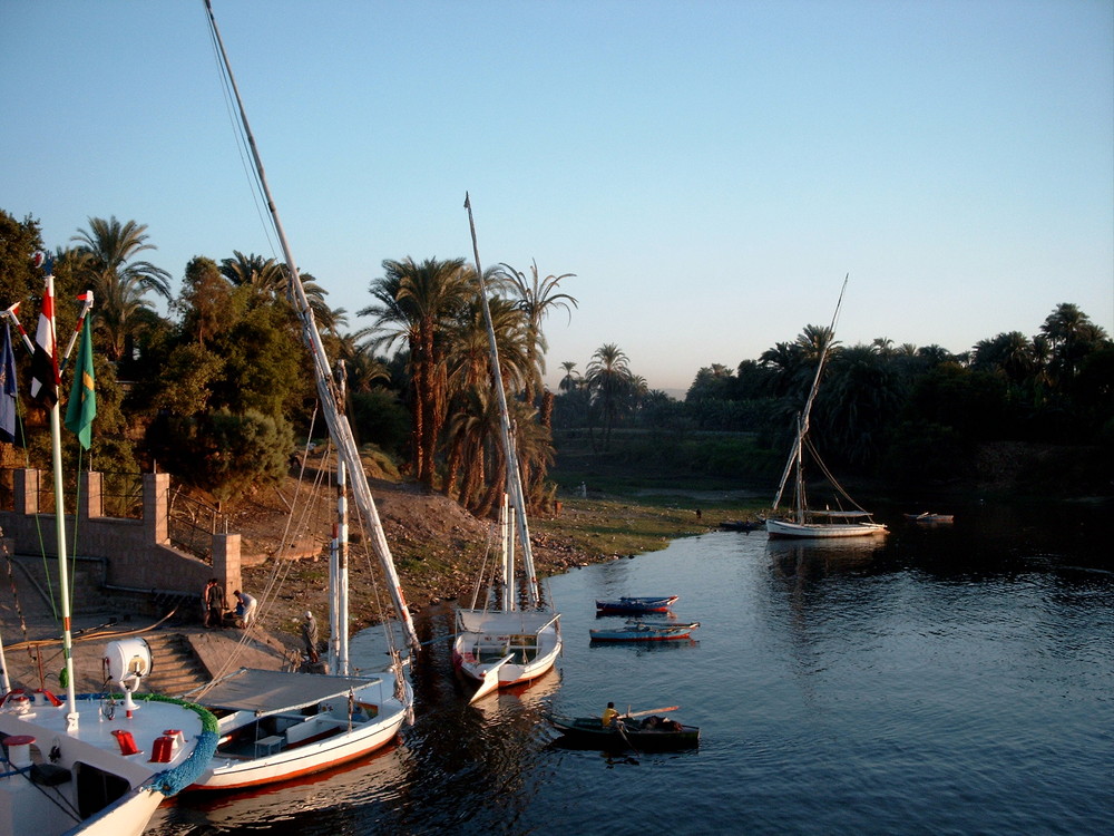 Am Nil
