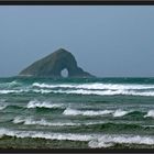 am ninety mile beach