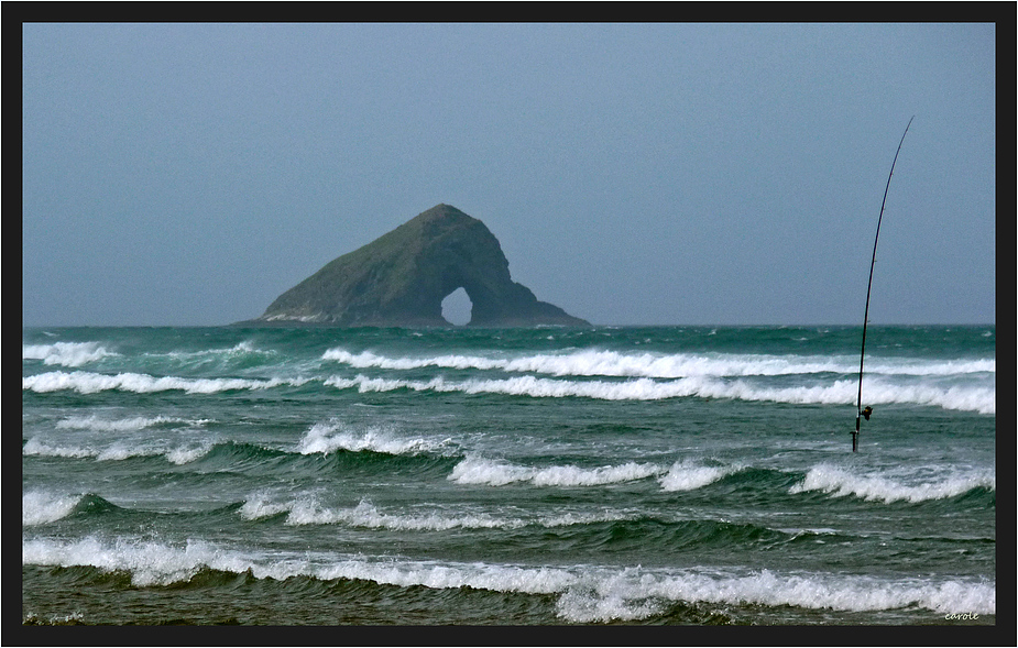 am ninety mile beach