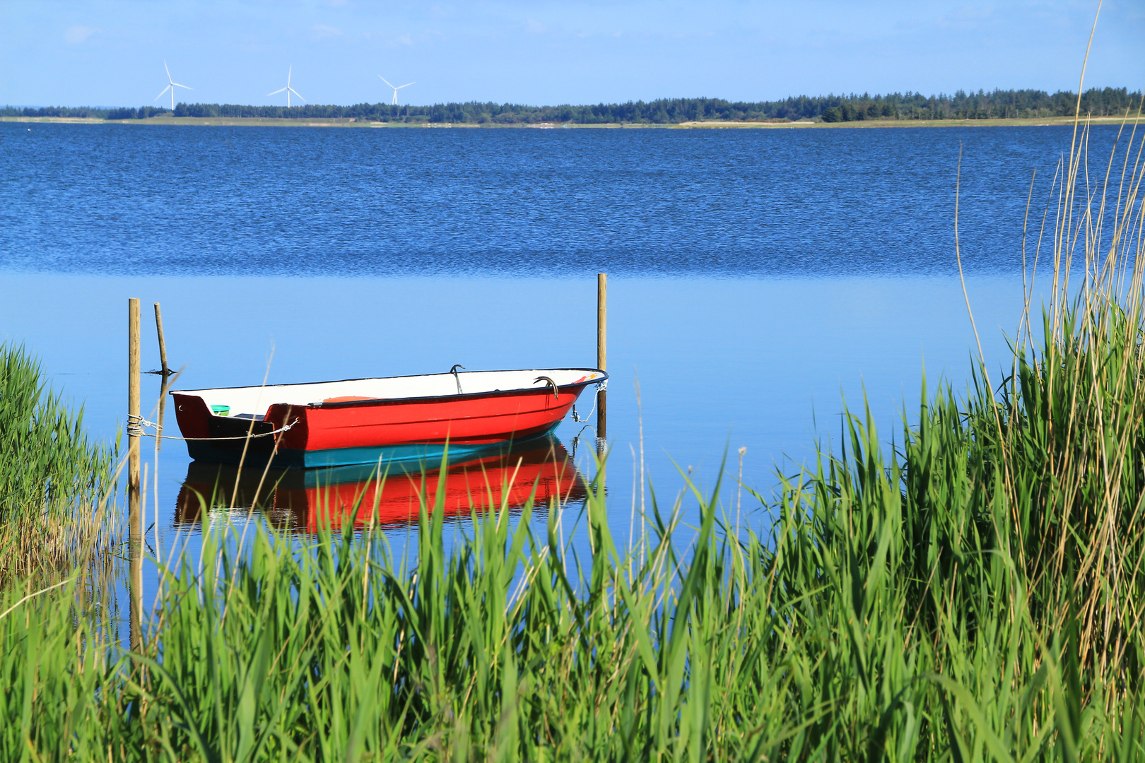 Am Nissum Fjord