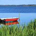 Am Nissum Fjord