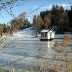 Am noch gefrorenen Weniger Weiher / 2