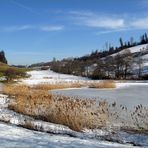 Am noch gefrorenen Weniger Weiher