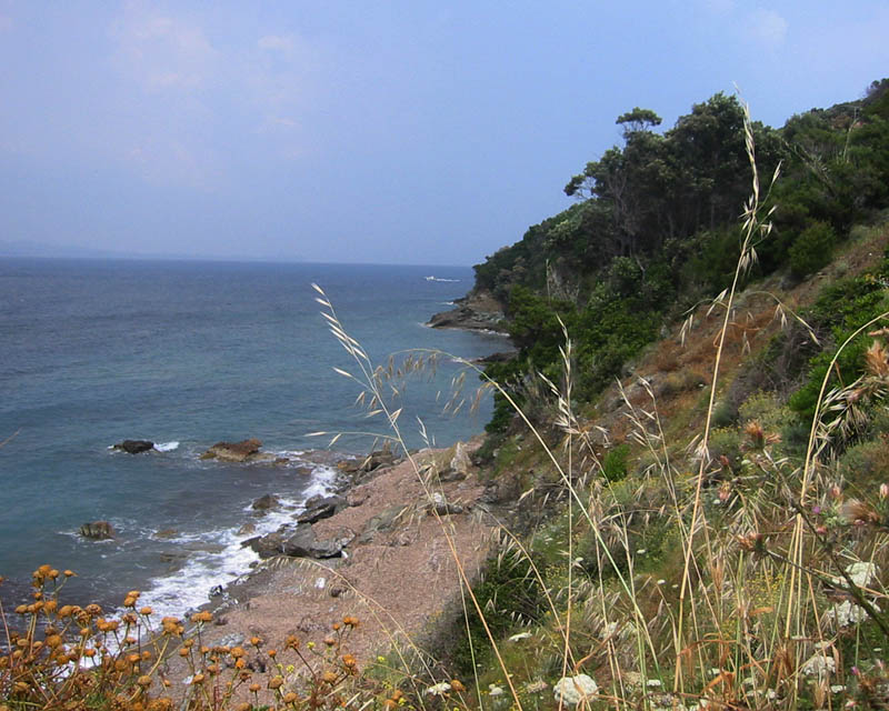 am nördlichen Ende von Elba