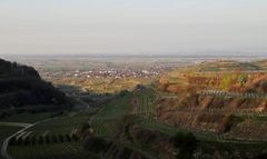 Am  *Nördlichen Kaiserstuhl*