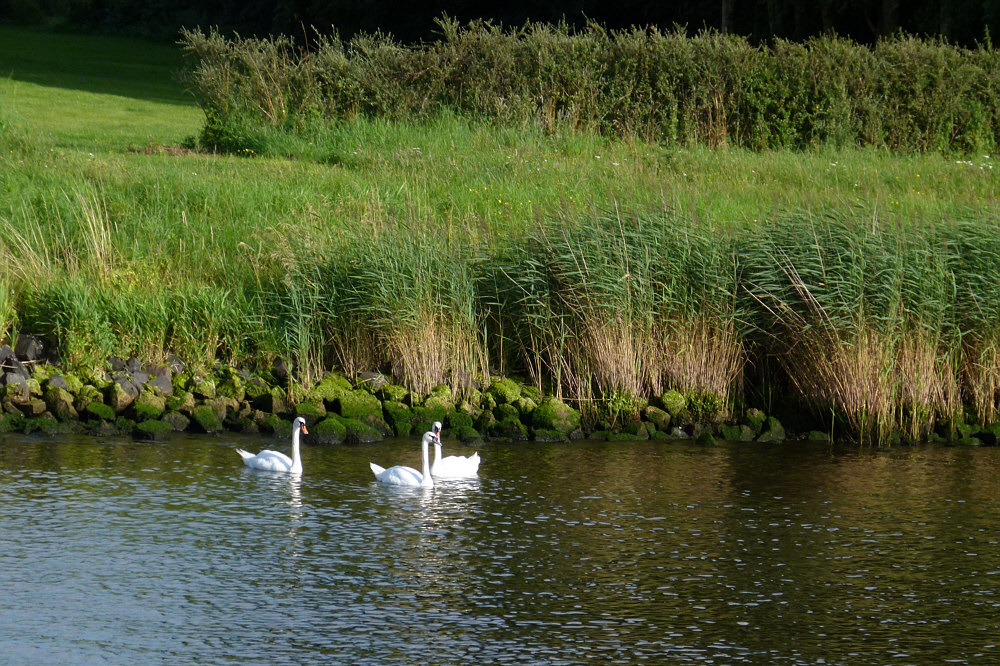 Am Nord-Ostsee-Kanal oder am....