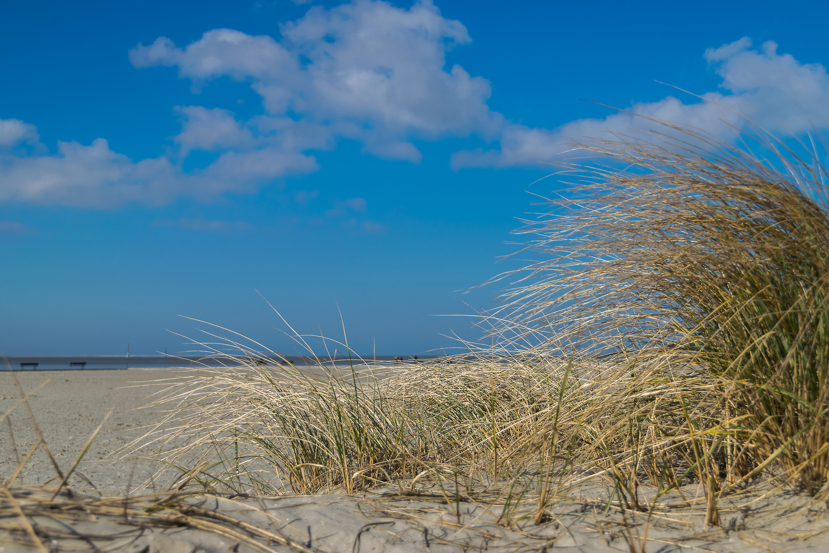 Am Norddeicher Strand