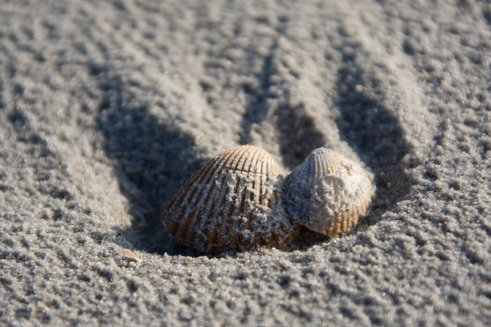 am nordseestrand