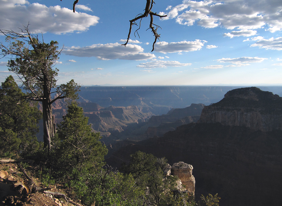 Am North Rim