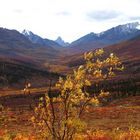 am Northfolk Pass - Dempster Highway