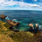 Am Nugget Point auf der Südinsel in Neuseeland