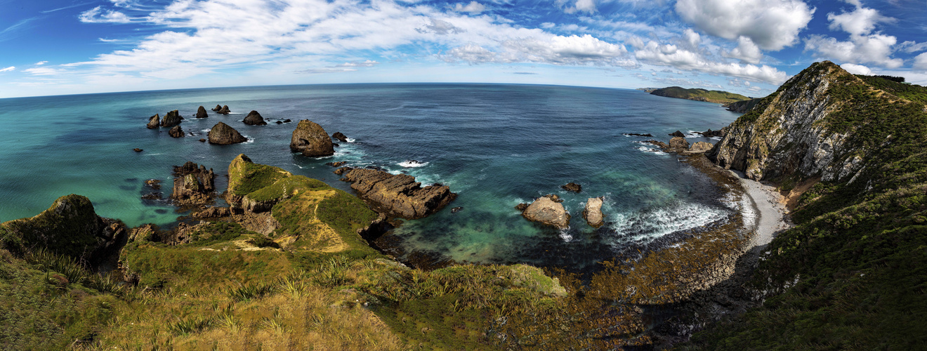 Am Nugget Point auf der Südinsel in Neuseeland