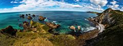 Am Nugget Point auf der Südinsel in Neuseeland