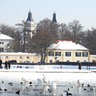 AM NYMPHENBURGER KANAL