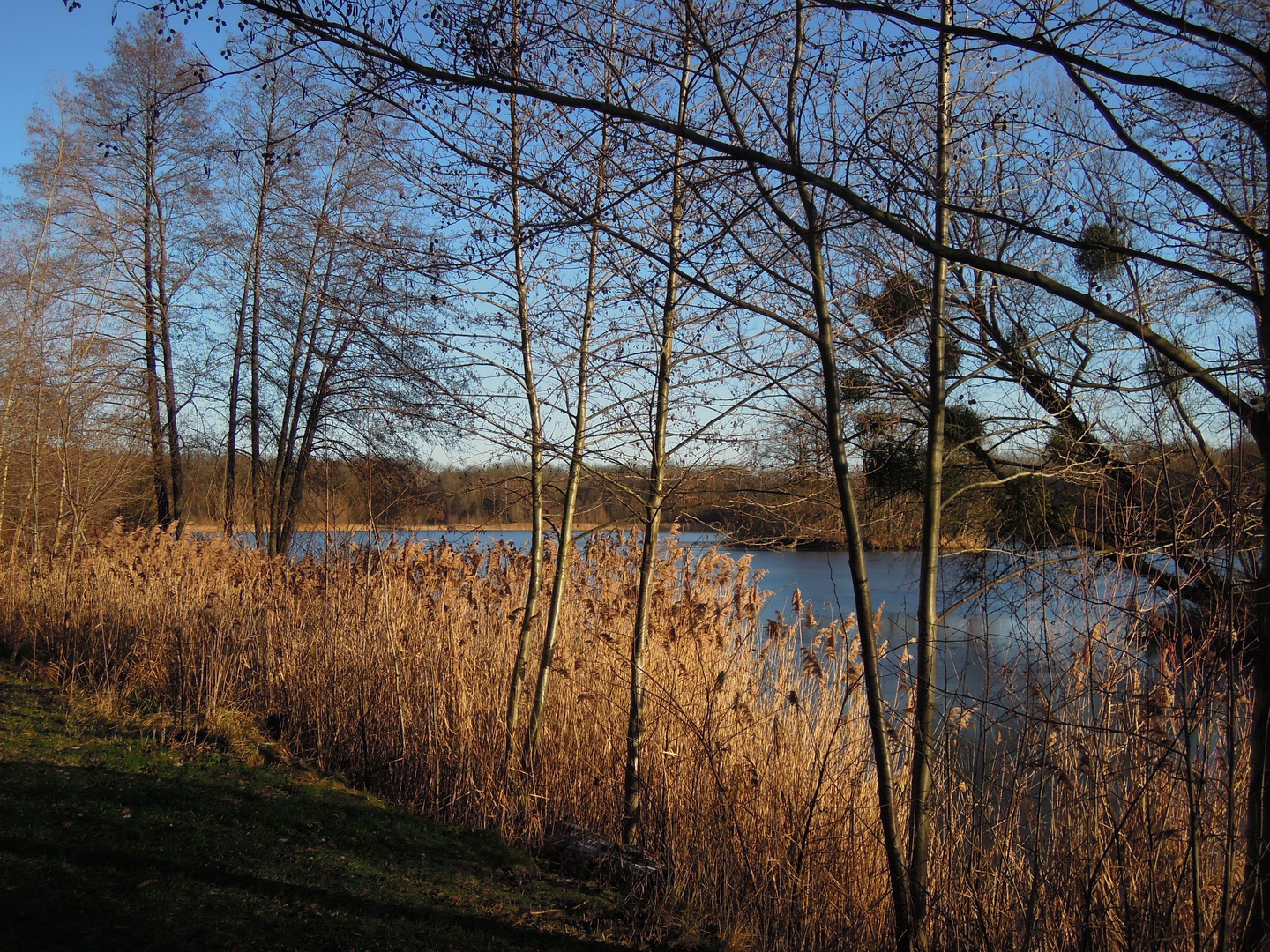 Am Nymphensee