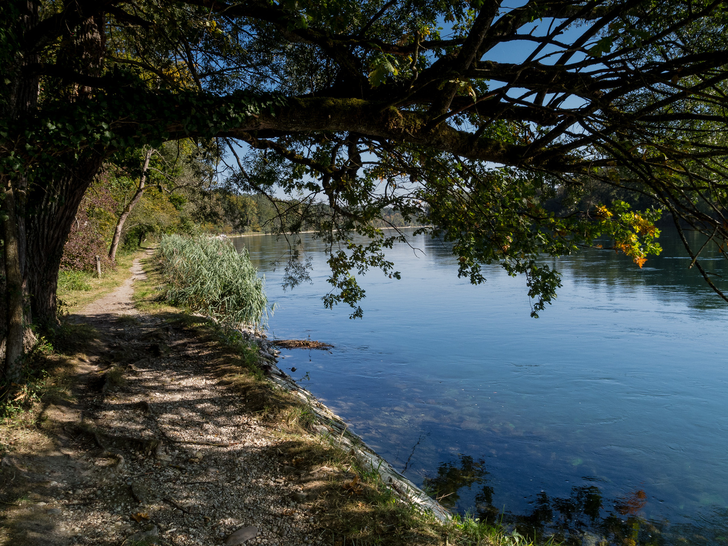 Am Oase am Rhein