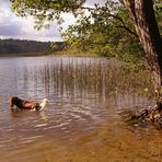 Am Oberen See bei Sternberg...