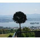 Am oberen Zürichsee