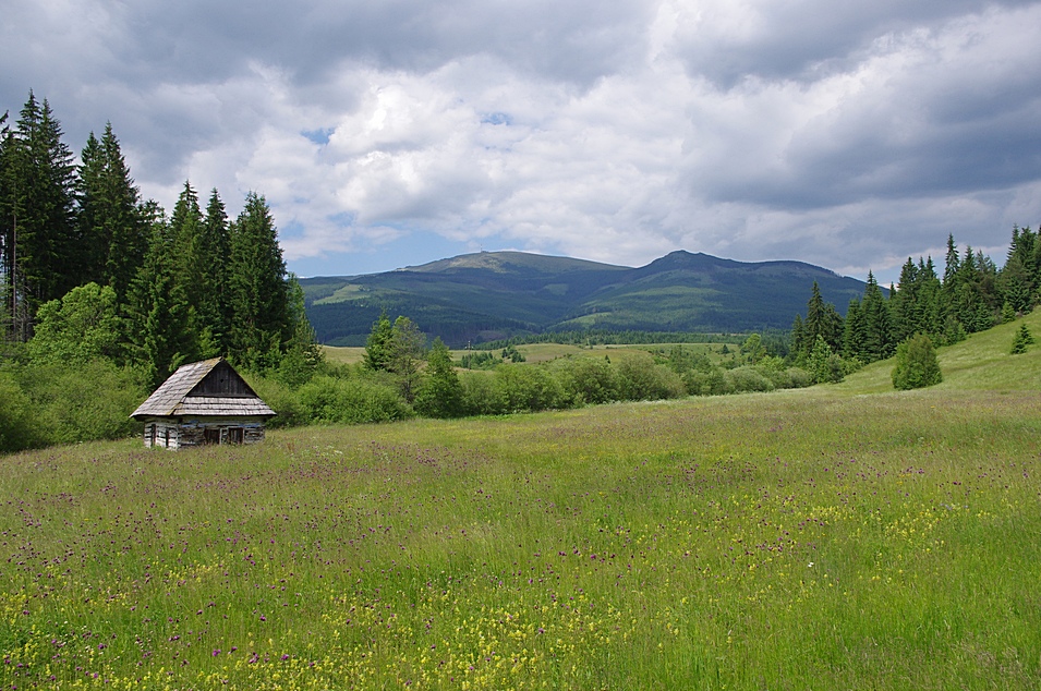 Am Oberlauf des Hron